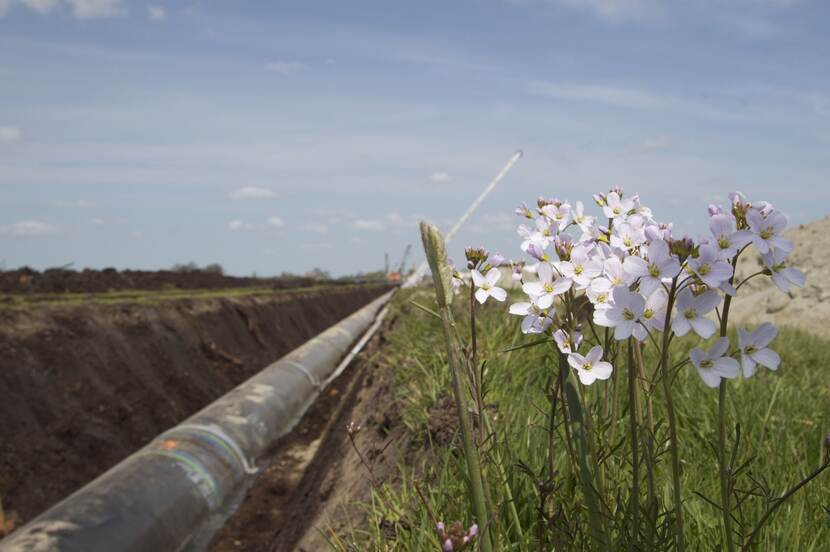 Gasleiding in weiland met bloemen op de voorgrond